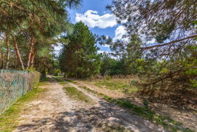 Działka budowlana w pobliżu jeziora - Nowy Orzechów  -
Lubelskie Zdjęcie nr 14
