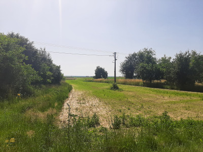 Działka budowlano - rolna Krężnica Jara - Krężnica Jara  -
Lubelskie Zdjęcie nr 4