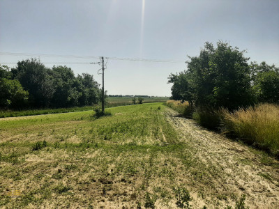 Działka budowlano - rolna Krężnica Jara - Krężnica Jara  -
Lubelskie Zdjęcie nr 5