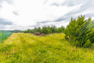 Działki budowlane w świetnej lokalizacji - Jawidz  -
Lubelskie Zdjęcie nr 6