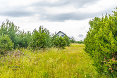 Działki budowlane w świetnej lokalizacji - Jawidz  -
Lubelskie Zdjęcie nr 7