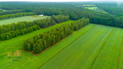 Działki budowlane w świetnej lokalizacji - Jawidz  -
Lubelskie Zdjęcie nr 8