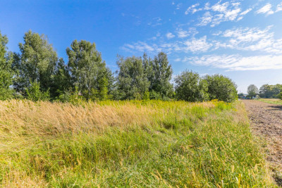Działka budowlana w Żabiej Woli - Żabia Wola  -
Lubelskie Zdjęcie nr 3