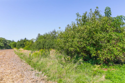 Działka budowlana w Żabiej Woli - Żabia Wola  -
Lubelskie Zdjęcie nr 4