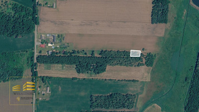 Działka Rekreacyjna 7ar Orzechów kol - Orzechów-Kolonia  -
Lubelskie Zdjęcie nr 4