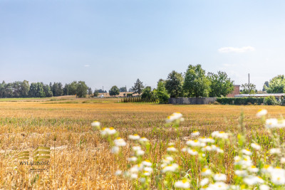 Działki w Niedrzwicy Dużej - Niedrzwica Duża  - Lubelskie