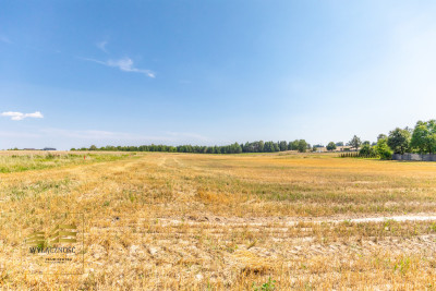 Działki w Niedrzwicy Dużej - Niedrzwica Duża  -
Lubelskie Zdjęcie nr 2