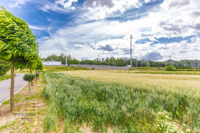 Działka z warunkami zabudowy Kozubszczyzna - Kozubszczyzna  -
Lubelskie Zdjęcie nr 4