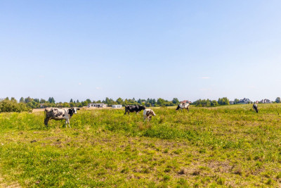 Atrakcyjna działka z warunkami zabudowy - Uniszowice  - Lubelskie