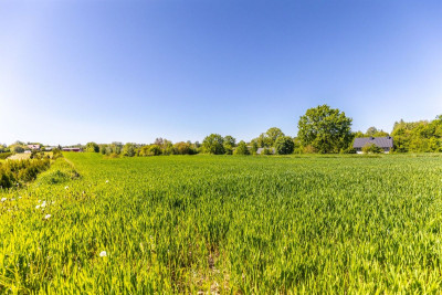 Działka z warunkami zabudowy kRaszyńskiej - Konopnica  -
Lubelskie Zdjęcie nr 4
