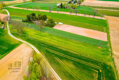 Działka rolna o pow 3900m2 w Płouszowicach - Płouszowice-Kolonia  -
Lubelskie Zdjęcie nr 10