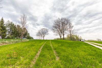 Działka rolna o pow 3900m2 w Płouszowicach - Płouszowice-Kolonia  -
Lubelskie Zdjęcie nr 13