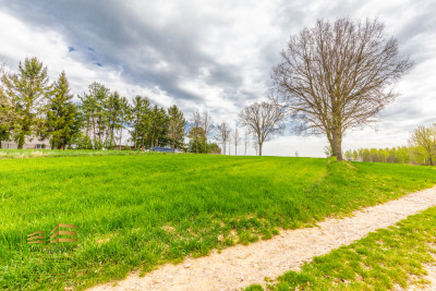 Działka rolna o pow 3900m2 w Płouszowicach - Płouszowice-Kolonia  -
Lubelskie Zdjęcie nr 14