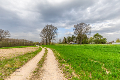 Działka rolna o pow 3900m2 w Płouszowicach - Płouszowice-Kolonia  -
Lubelskie Zdjęcie nr 15