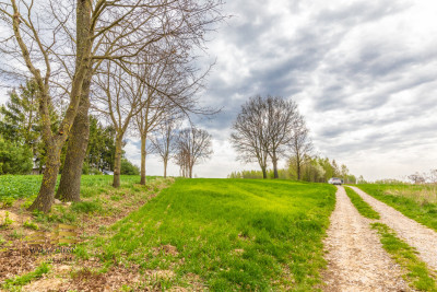 Działka rolna o pow 3900m2 w Płouszowicach - Płouszowice-Kolonia  - Lubelskie
