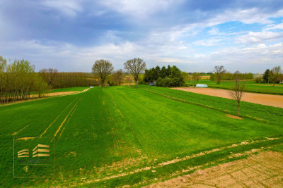 Działka rolna o pow 3900m2 w Płouszowicach - Płouszowice-Kolonia  -
Lubelskie Zdjęcie nr 2