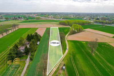 Działka rolna o pow 3900m2 w Płouszowicach - Płouszowice-Kolonia  -
Lubelskie Zdjęcie nr 3
