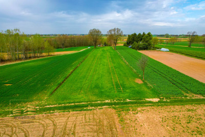 Działka rolna o pow 3900m2 w Płouszowicach - Płouszowice-Kolonia  -
Lubelskie Zdjęcie nr 4