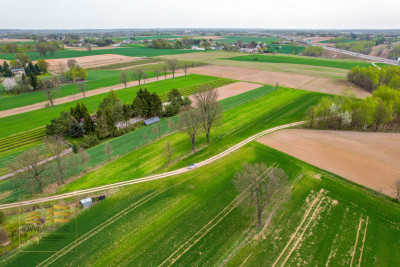 Działka rolna o pow 3900m2 w Płouszowicach - Płouszowice-Kolonia  -
Lubelskie Zdjęcie nr 5
