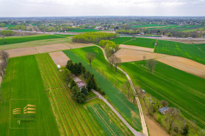 Działka rolna o pow 3900m2 w Płouszowicach - Płouszowice-Kolonia  -
Lubelskie Zdjęcie nr 6