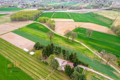 Działka rolna o pow 3900m2 w Płouszowicach - Płouszowice-Kolonia  -
Lubelskie Zdjęcie nr 8