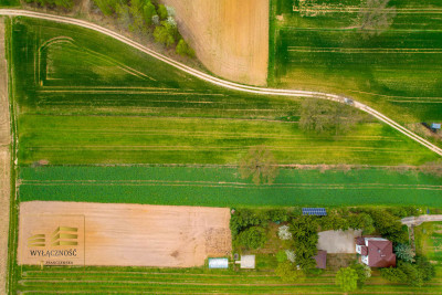 Działka rolna o pow 3900m2 w Płouszowicach - Płouszowice-Kolonia  -
Lubelskie Zdjęcie nr 9