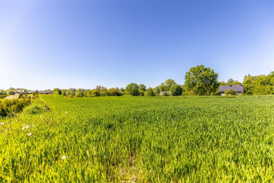 Działka z warunkami zabudowy kRaszyńskiej - Konopnica  -
Lubelskie Zdjęcie nr 3