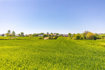 Działka z warunkami zabudowy kRaszyńskiej - Konopnica  -
Lubelskie Zdjęcie nr 5