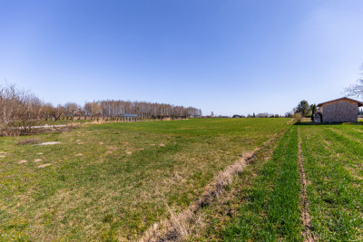 Działka z potencjałem - Konopnica  -
Lubelskie Zdjęcie nr 10