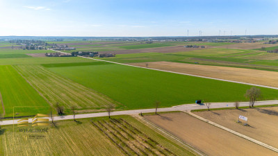 Działki na sprzedaż - Zalesie  - Lubelskie