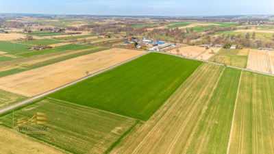 Działki na sprzedaż - Zalesie  -
Lubelskie Zdjęcie nr 6