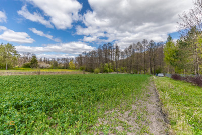 Działka pod lasem - Motycz  -
Lubelskie Zdjęcie nr 8