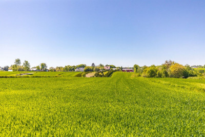 Działka z warunkami zabudowy kRaszyńskiej - Konopnica  -
Lubelskie Zdjęcie nr 7