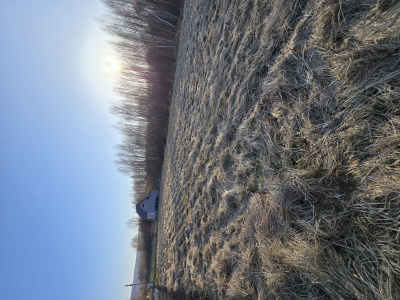 Na sprzedaż działka budowlana 1250m kwadratowych -
Świętokrzyskie Zdjęcie nr 6