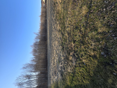 Na sprzedaż działka budowlana 1250m kwadratowych -
Świętokrzyskie Zdjęcie nr 11