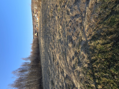 Na sprzedaż działka budowlana 1250m kwadratowych -
Świętokrzyskie Zdjęcie nr 10