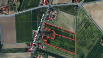 Działki budowlane - Trasa Izbica Kuj - Lubraniec - Milżyn  -
kujawsko-pomorskie Zdjęcie nr 2