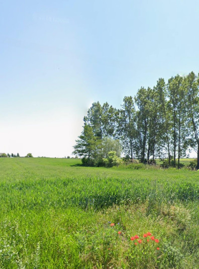Działki budowlane - Trasa Izbica Kuj - Lubraniec - Milżyn  -
kujawsko-pomorskie Zdjęcie nr 5