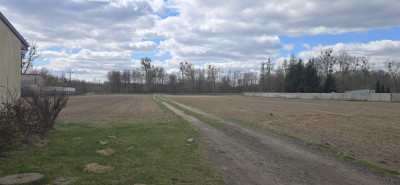 Działka budowlano-rolna 16 arów  Wistka Królewska  blisko Włocławek - Wistka Królewska  -
kujawsko-pomorskie Zdjęcie nr 8