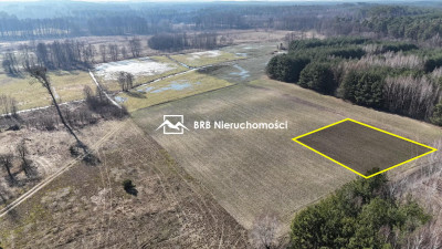 Działka na sprzedaż 1500m2 - Przerytka - Przerytka  -
kujawsko-pomorskie Zdjęcie nr 4
