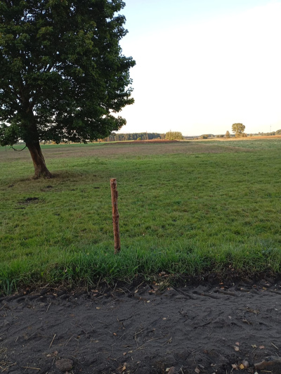 Sprzedam działkę rolno-zagrodową -
pomorskie Zdjęcie nr 3