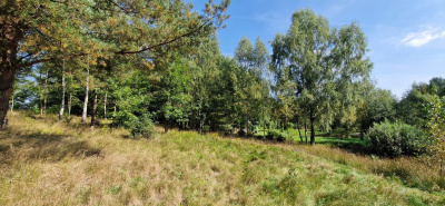 Działka w Lesie z oczkiem wodnym ! Rybaki - pomorskie