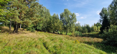 Działka w Lesie z oczkiem wodnym ! Rybaki -
pomorskie Zdjęcie nr 11