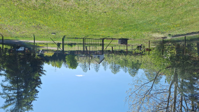 Działka 1120m² Warszawa Wawer osiedle. Aleksandrów -
mazowieckie Zdjęcie nr 3