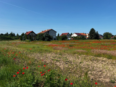 Działka z pozwoleniem na budowę -
Wielkopolskie Zdjęcie nr 6