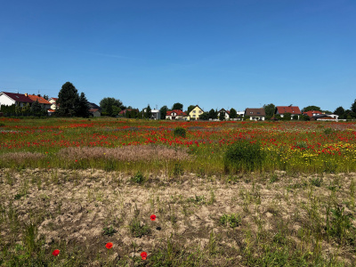 Działka z pozwoleniem na budowę -
Wielkopolskie Zdjęcie nr 4
