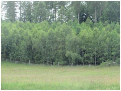 Inwestycyjna Nieruchomość gruntowa w otulinie lasów i jezior na pojezierzu bytowskim - Wołcza Wielka  -
pomorskie Zdjęcie nr 12