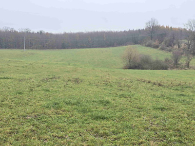 Grunt pod działki rekreacyjne -
warmińsko-mazurskie Zdjęcie nr 9