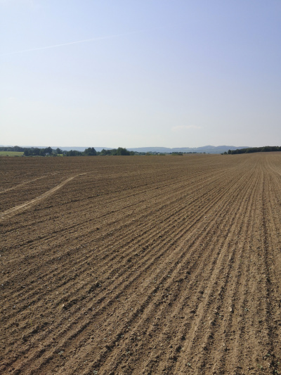 Działka budowlana 1000 m2 prodtokt -
Dolnośląskie Zdjęcie nr 4