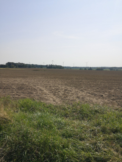 Działka budowlana 1000 m2 prodtokt -
Dolnośląskie Zdjęcie nr 7